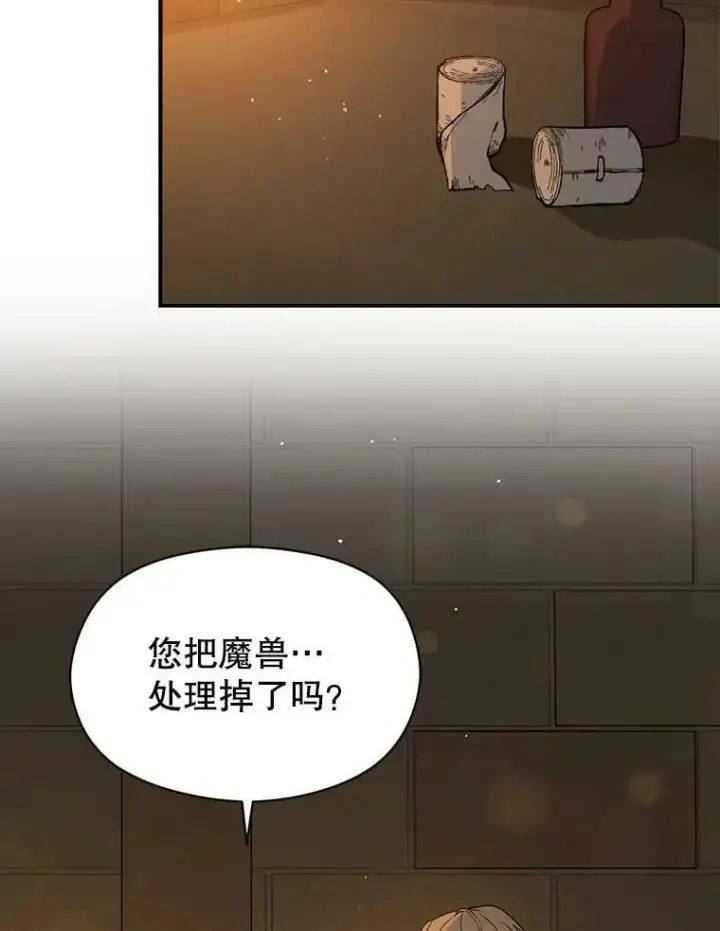 《并不是想引诱男主》61.与伯爵相见图26