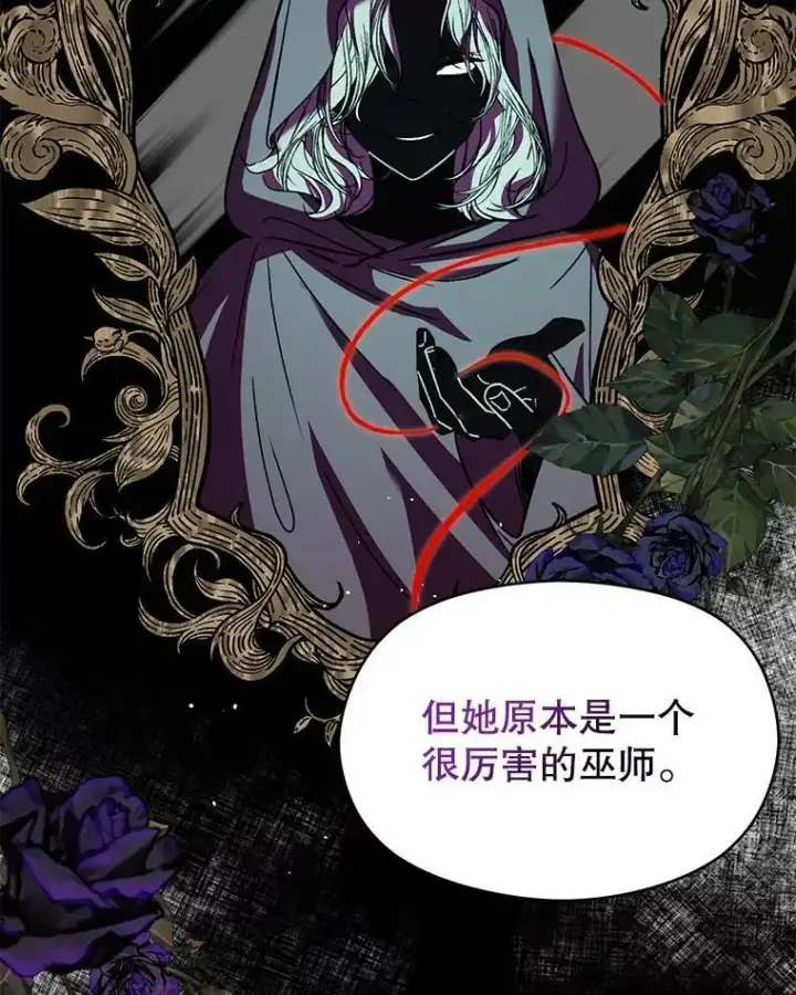 《并不是想引诱男主》61.与伯爵相见图66