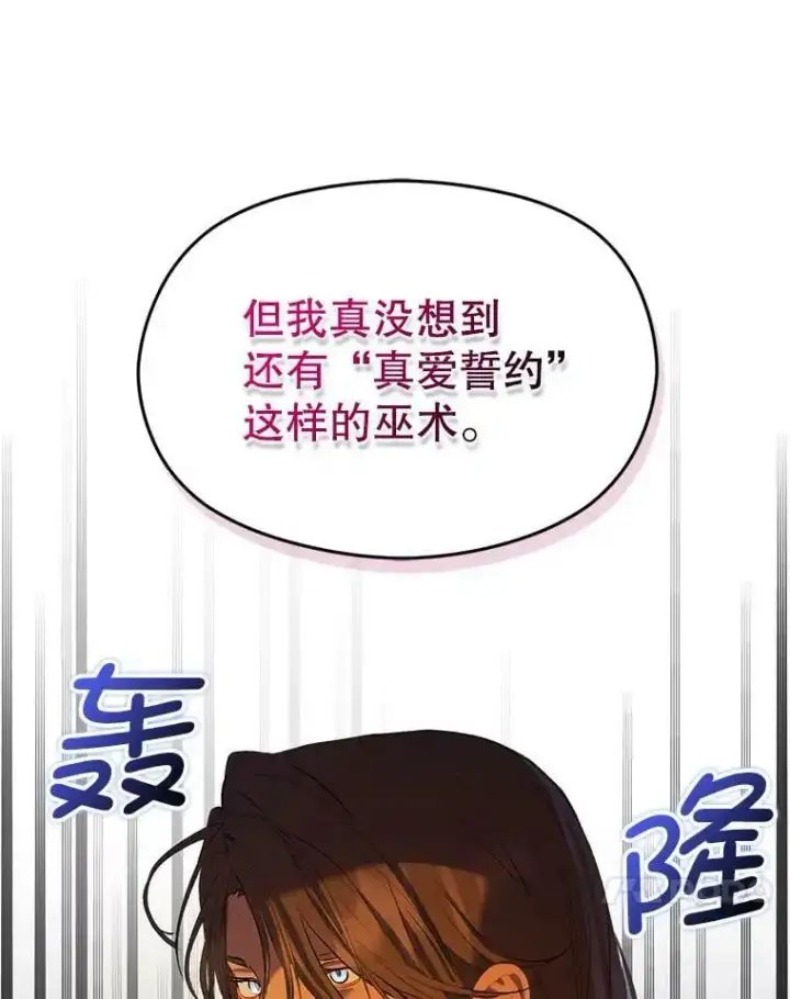 《并不是想引诱男主》62.真爱誓约图38