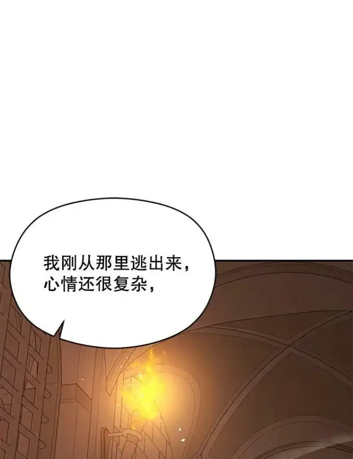 《并不是想引诱男主》70.艾尔林的报复图155