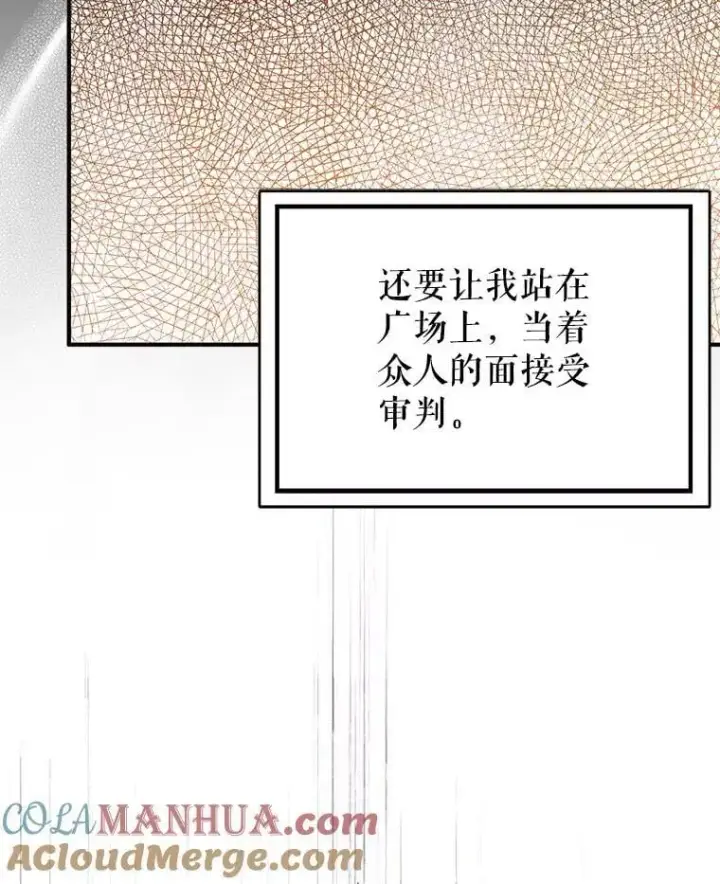 《并不是想引诱男主》75.公主被起诉图29