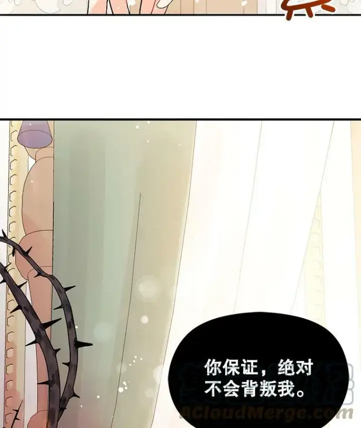 《并不是想引诱男主》7.艾尔林公主图85