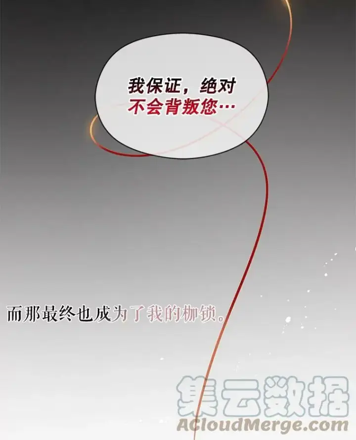《并不是想引诱男主》7.艾尔林公主图93