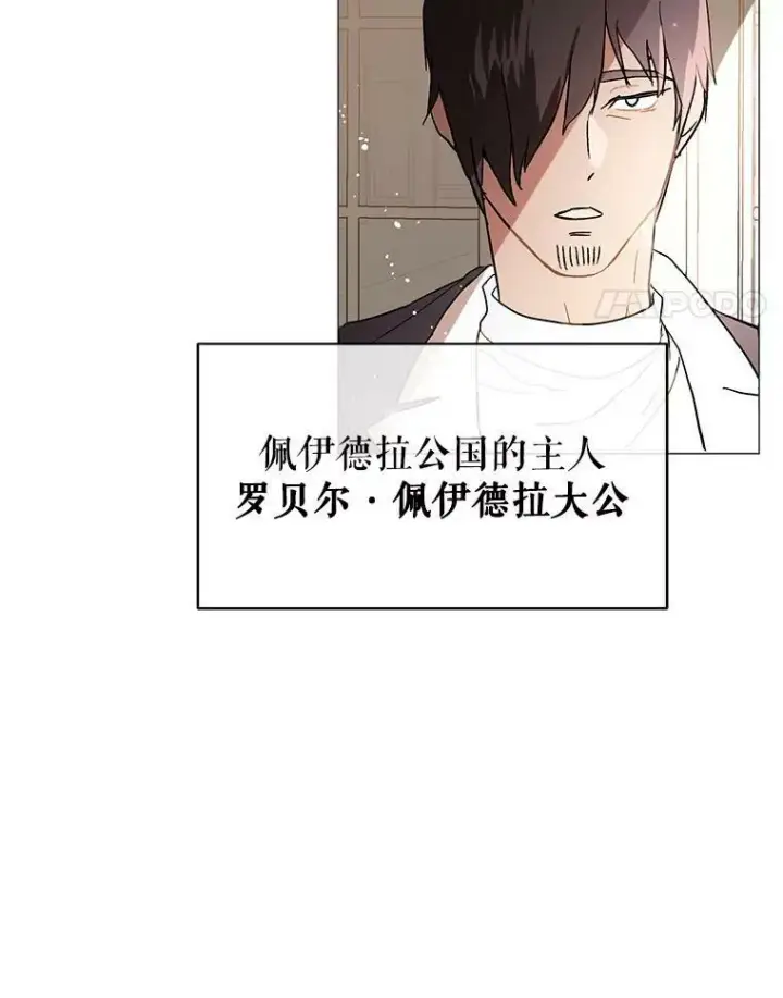 《并不是想引诱男主》14.佩伊德拉公国图18