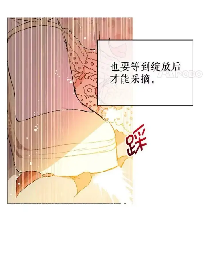 《并不是想引诱男主》16.匹拉内塔伦图56