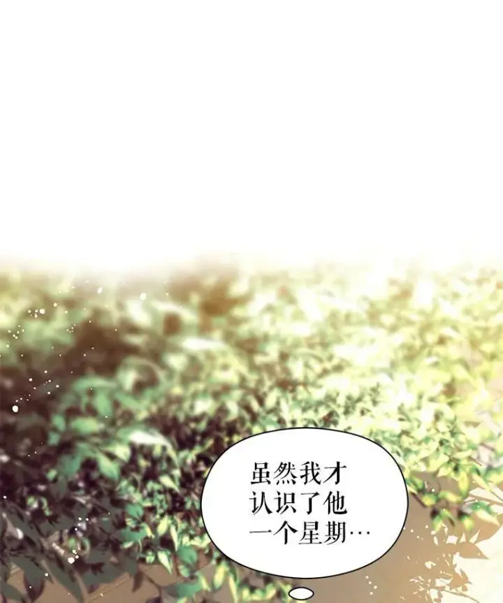 《并不是想引诱男主》16.匹拉内塔伦图84