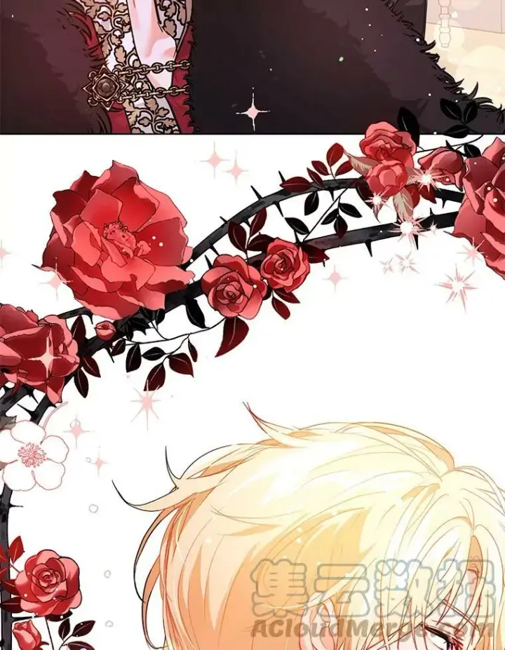 《并不是想引诱男主》26.公爵会议图46