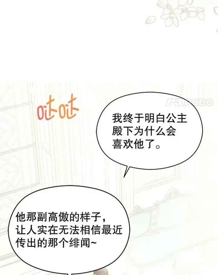 《并不是想引诱男主》26.公爵会议图8
