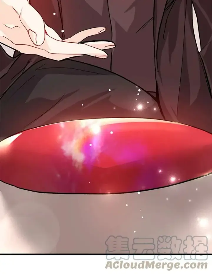 《并不是想引诱男主》26.公爵会议图88