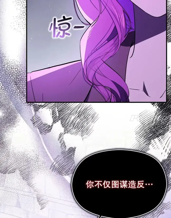 《并不是想引诱男主》92.皇帝的决定图112