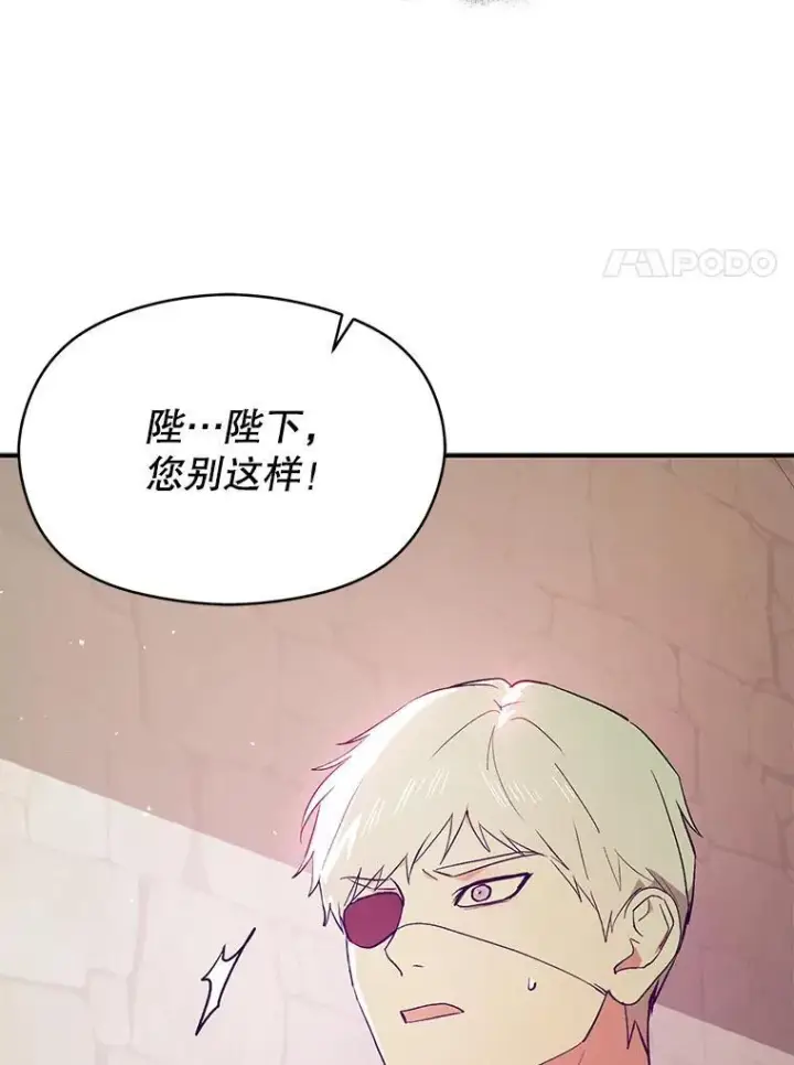 《并不是想引诱男主》92.皇帝的决定图99