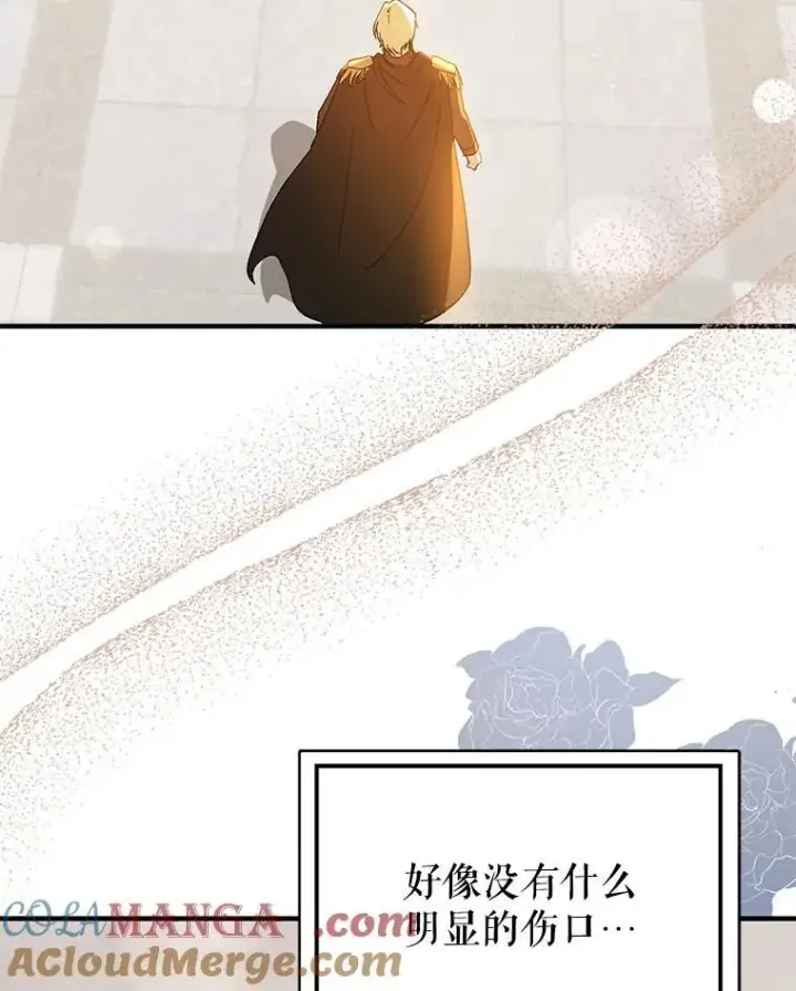 《并不是想引诱男主》95.利安见到公主图77