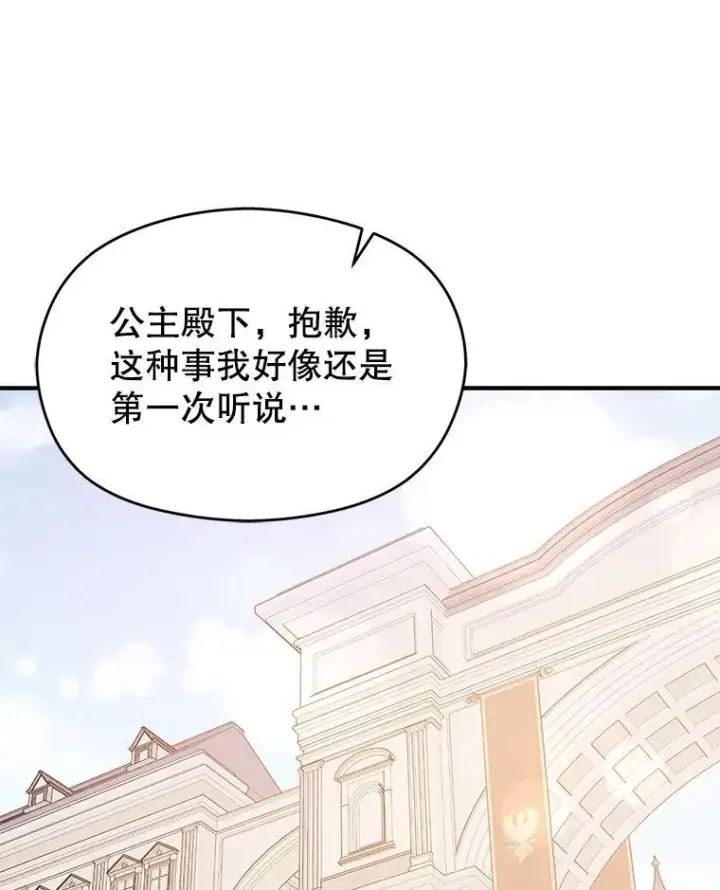 《并不是想引诱男主》94.利安见到公主图103