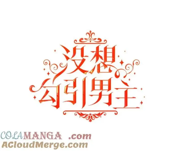《并不是想引诱男主》94.利安见到公主图21