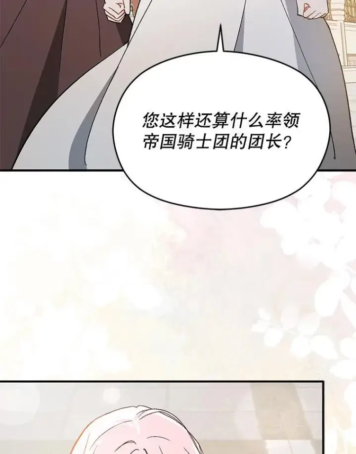 《并不是想引诱男主》94.利安见到公主图99