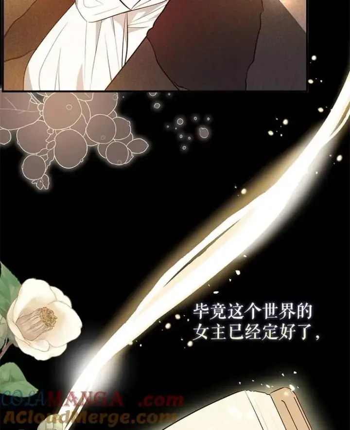 《并不是想引诱男主》101.成为皇后？图69
