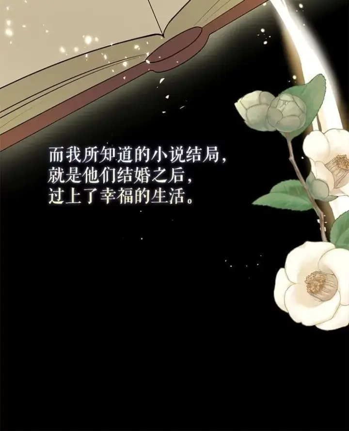 《并不是想引诱男主》101.成为皇后？图71