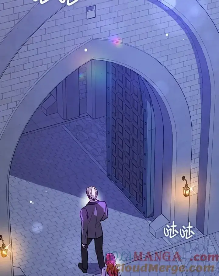 《并不是想引诱男主》111.收养图29