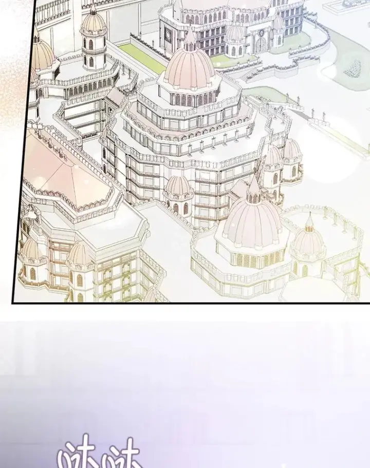 《并不是想引诱男主》111.收养图36