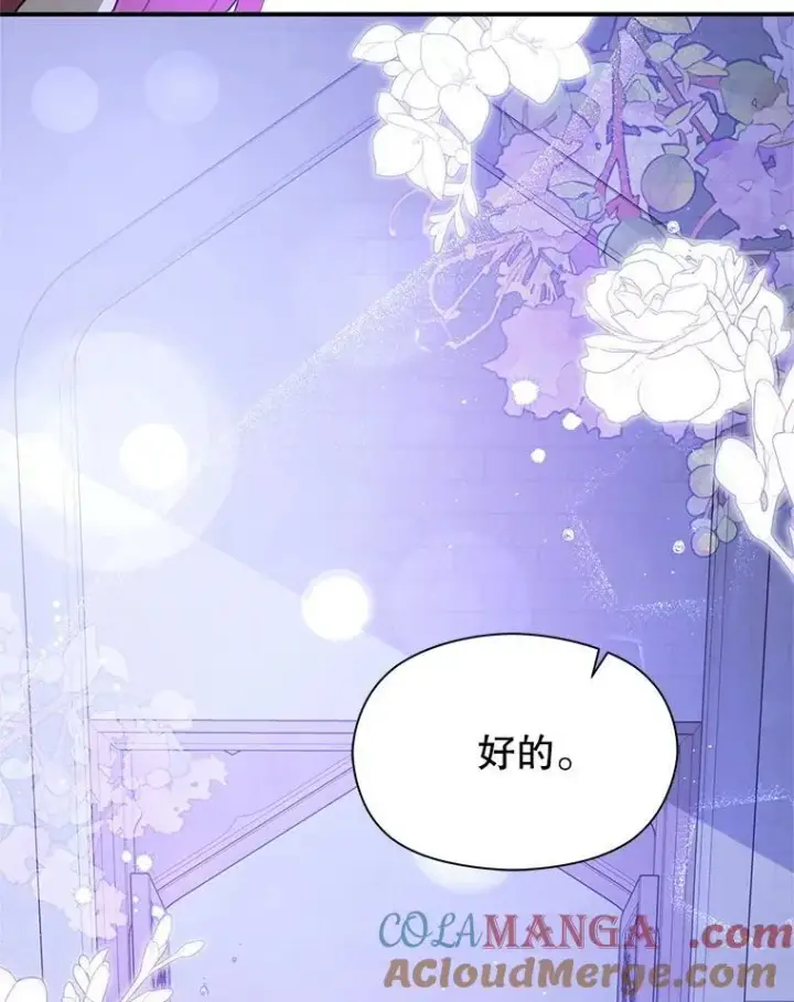 《并不是想引诱男主》111.收养图57