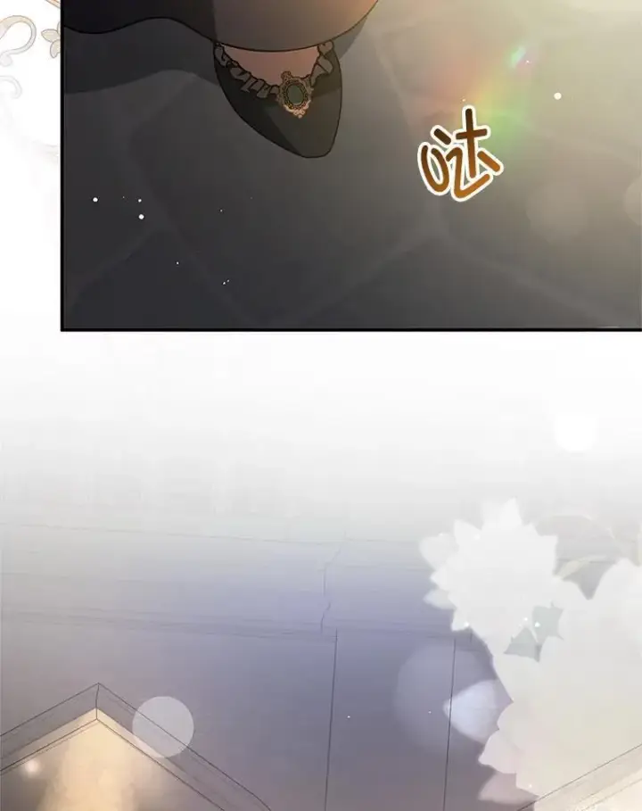 《并不是想引诱男主》111.收养图60
