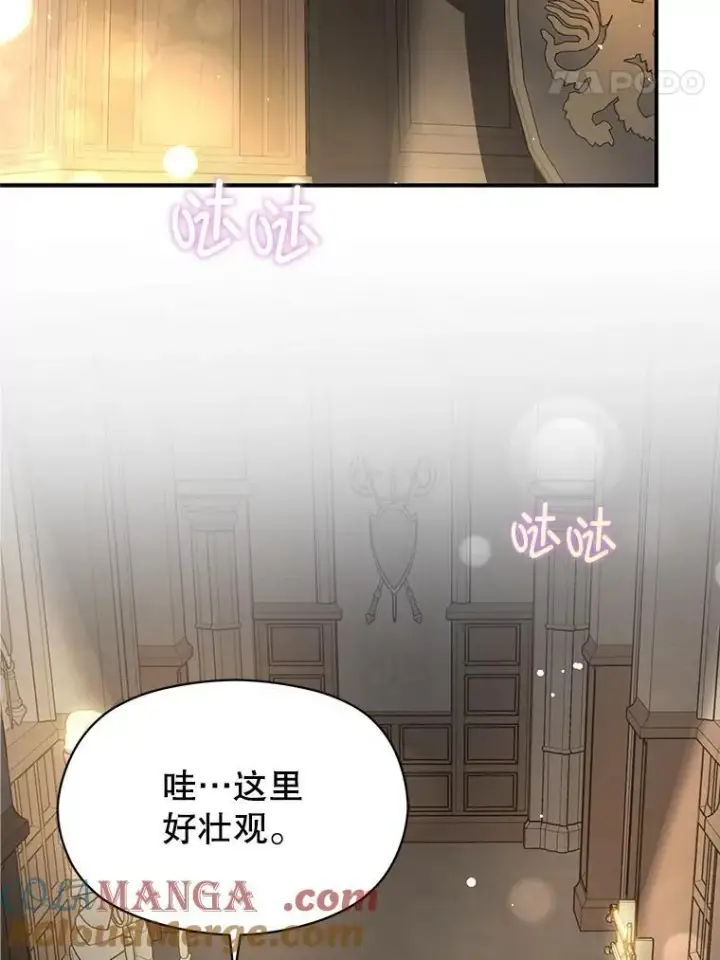 《并不是想引诱男主》111.收养图65