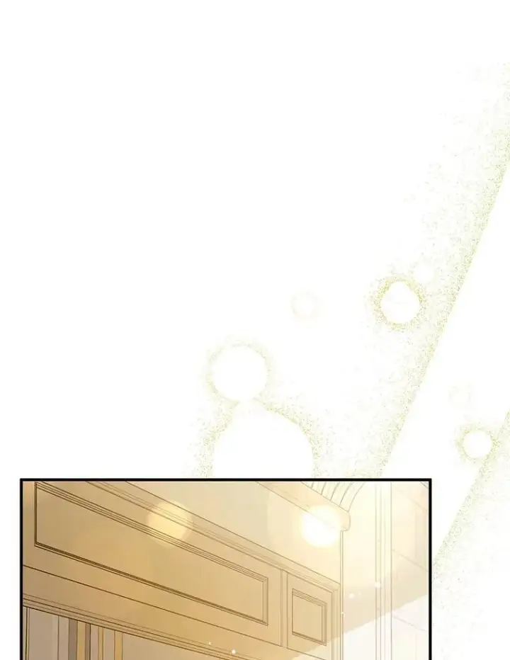 《并不是想引诱男主》113.永恒紫钻图36