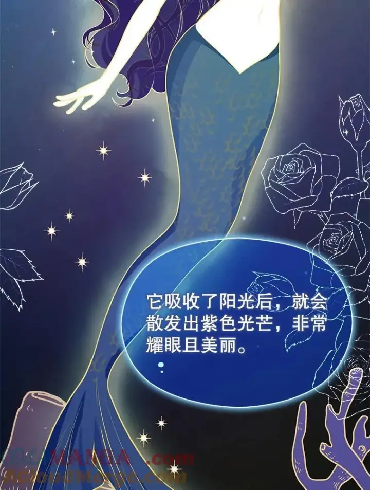 《并不是想引诱男主》113.永恒紫钻图73