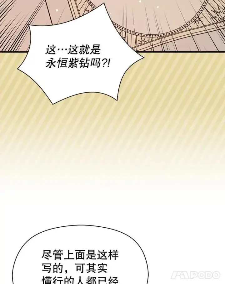 《并不是想引诱男主》113.永恒紫钻图78