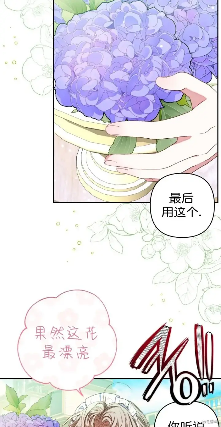 《比起成为公主，侍女才是我的天职》第5话图4