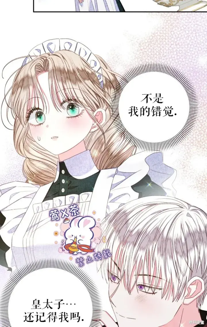 《比起成为公主，侍女才是我的天职》第15话图17