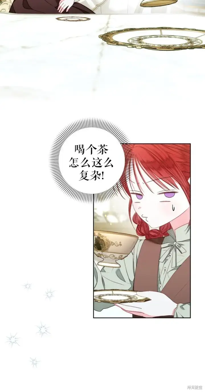 《比起成为公主，侍女才是我的天职》第17话图17