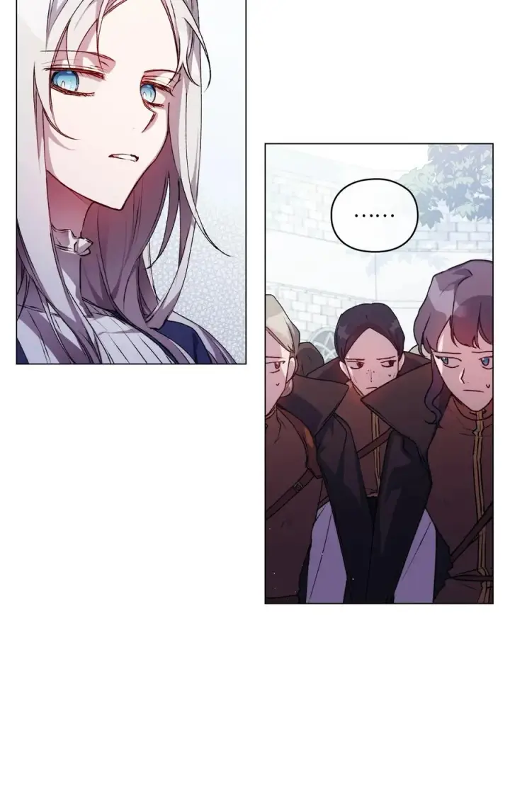 《陛下，这一生我会好好培养你！》13 重组第二骑士团图38