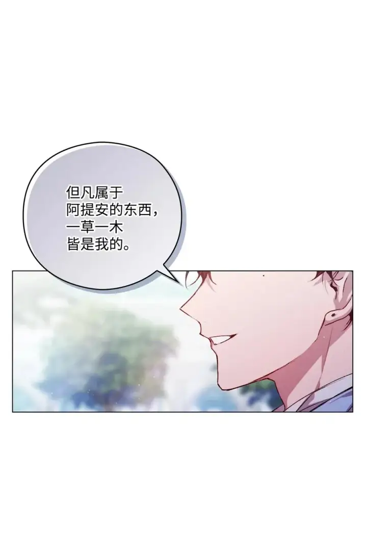 《陛下，这一生我会好好培养你！》13 重组第二骑士团图39