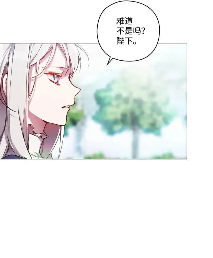 《陛下，这一生我会好好培养你！》13 重组第二骑士团图47