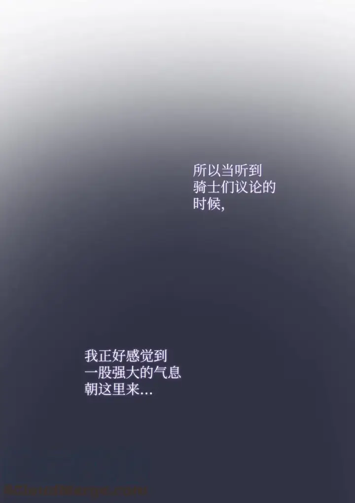 《陛下，这一生我会好好培养你！》13 重组第二骑士团图7