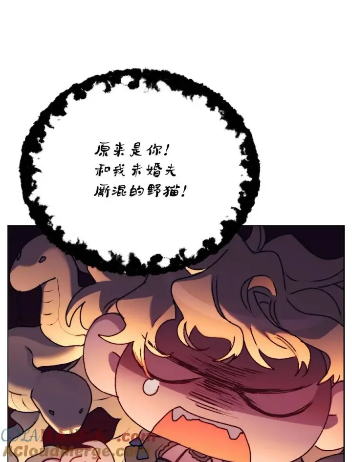 《陛下，这一生我会好好培养你！》90 皇帝的召幸图52