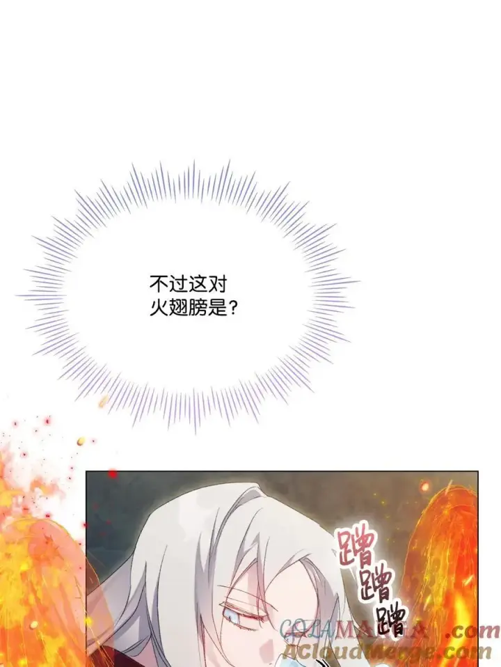 《陛下，这一生我会好好培养你！》107 不明的火翅图45
