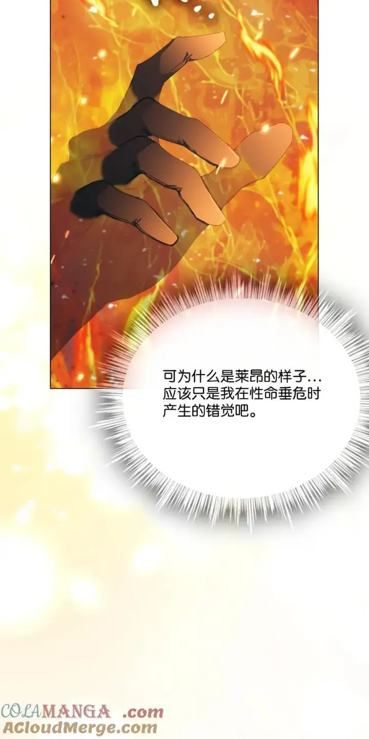 《陛下，这一生我会好好培养你！》107 不明的火翅图49