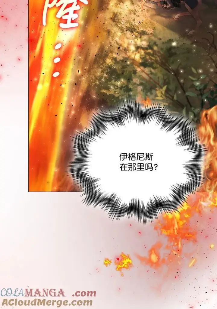 《陛下，这一生我会好好培养你！》111 先皇后之死图13