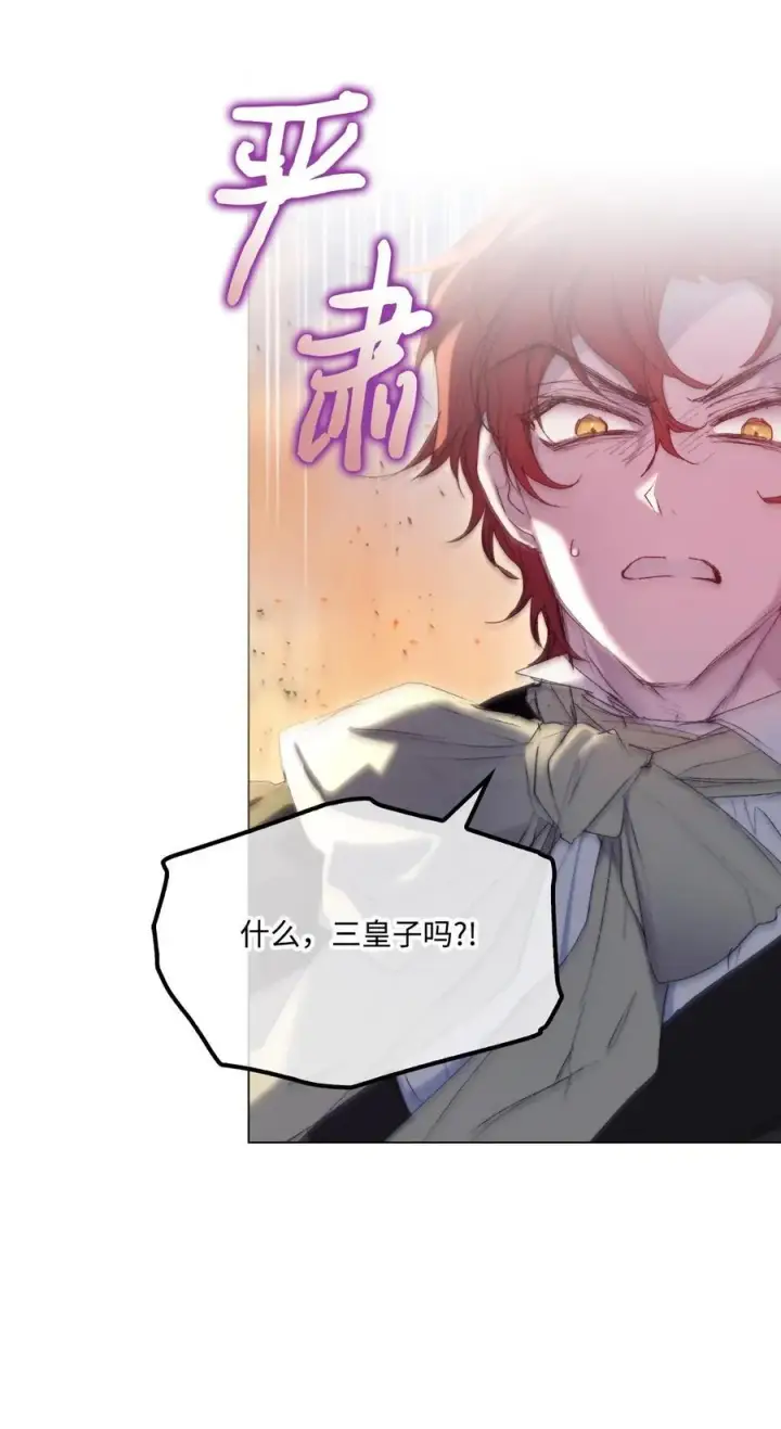 《陛下，这一生我会好好培养你！》114 献祭三皇子图68