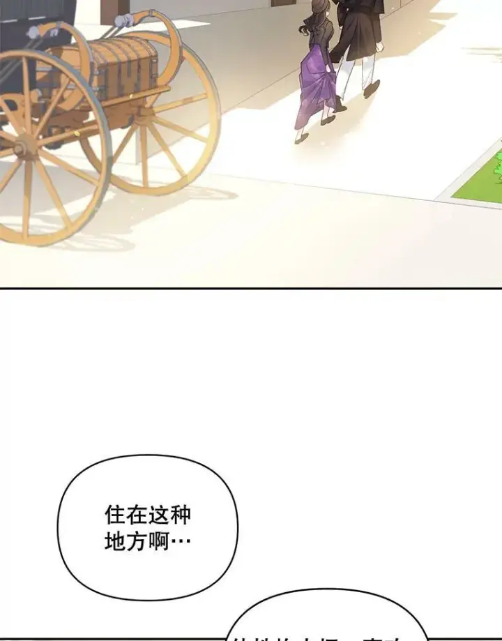 《伯爵孤女的重生》88.专家图2