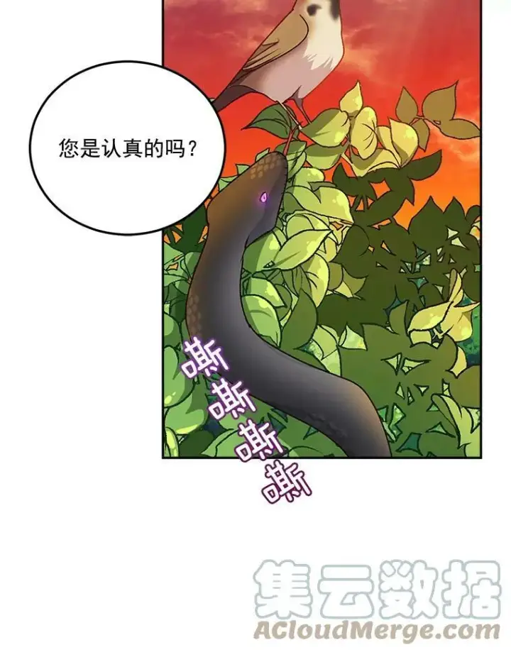 《伯爵孤女的重生》7.决定参与游戏图58