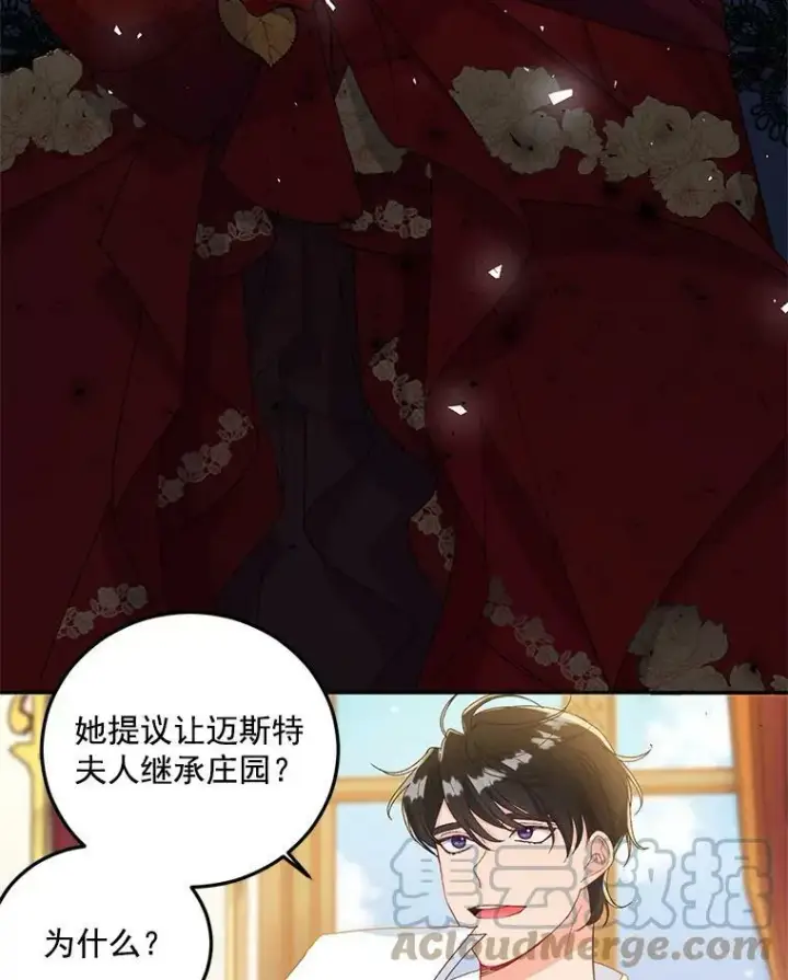 《伯爵孤女的重生》12.渡鸦图13