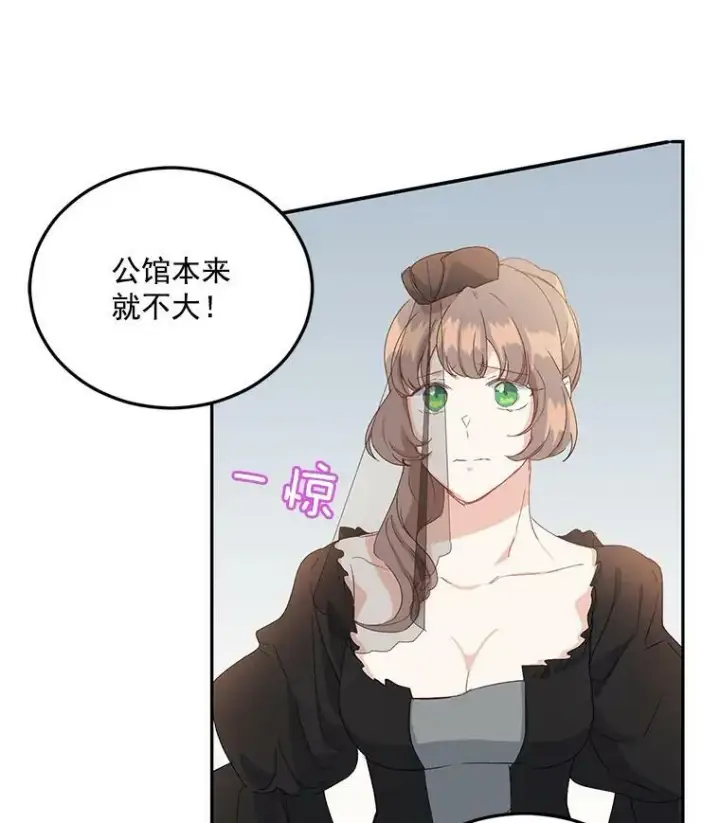 《伯爵孤女的重生》13.与将军夫人的初会图11