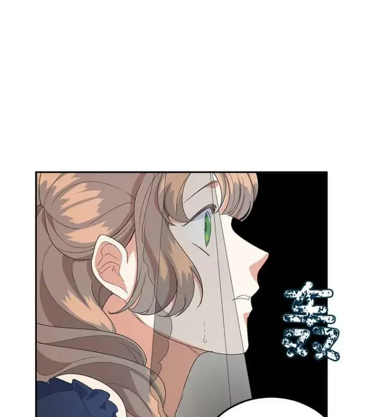 《伯爵孤女的重生》13.与将军夫人的初会图64
