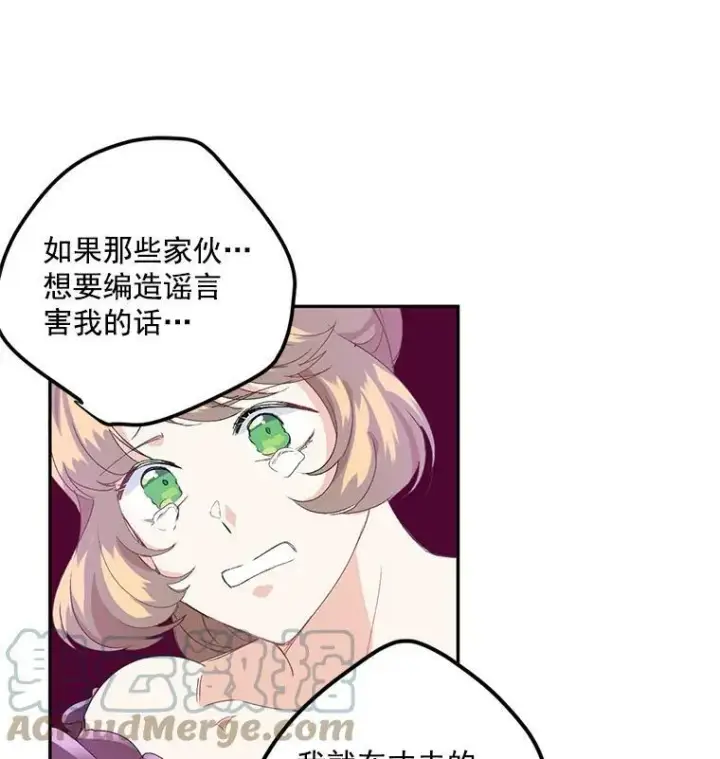 《伯爵孤女的重生》13.与将军夫人的初会图77