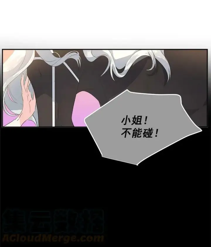 《伯爵孤女的重生》14.大公的奖励图49