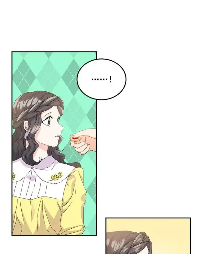 《伯爵孤女的重生》19.艾宝妮的新计划图38