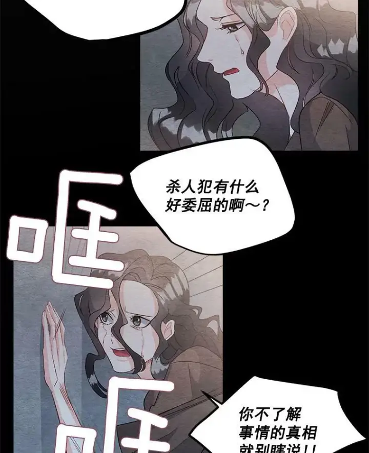 《伯爵孤女的重生》36.艾宝妮的请求图29